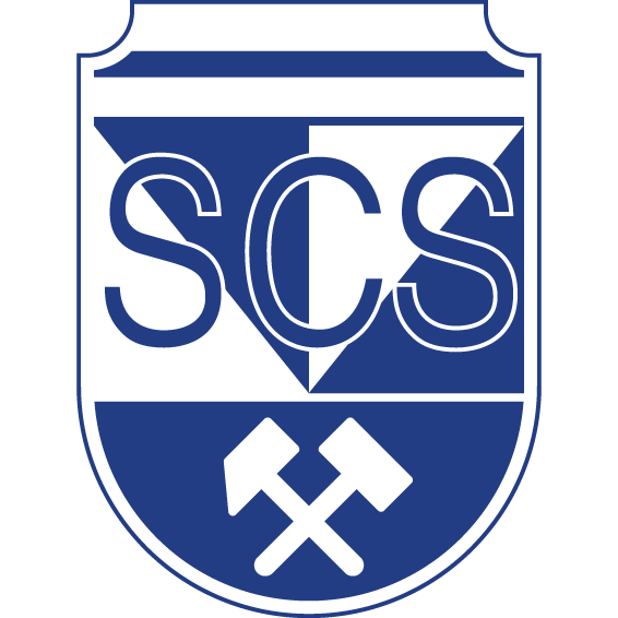 Логотип Schwaz