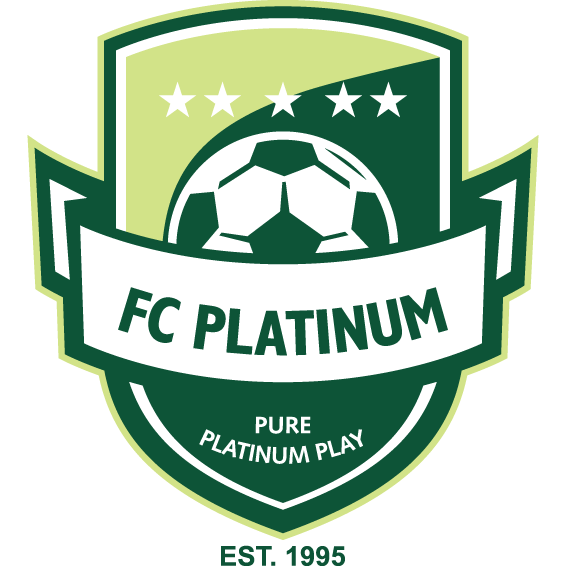 Логотип Platinum